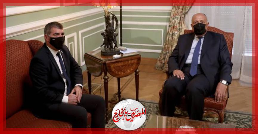 المصريين بالخارج