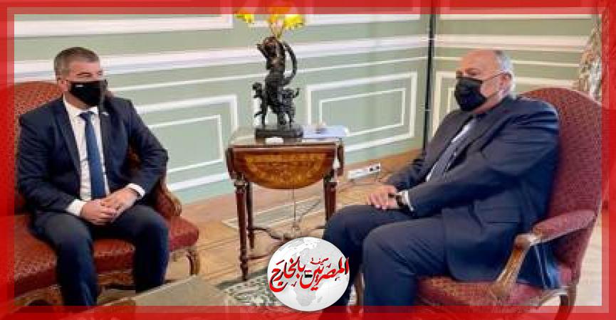 المصريين بالخارج