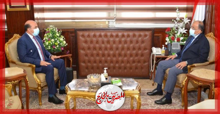 المصريين بالخارج