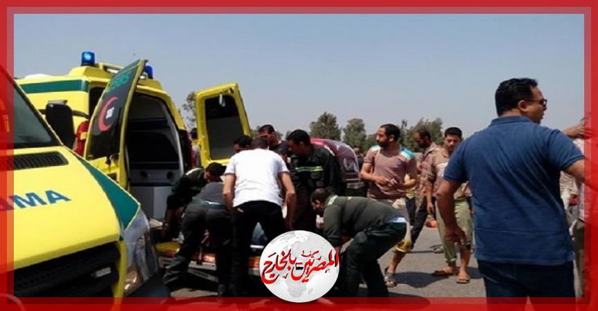 المصريين بالخارج