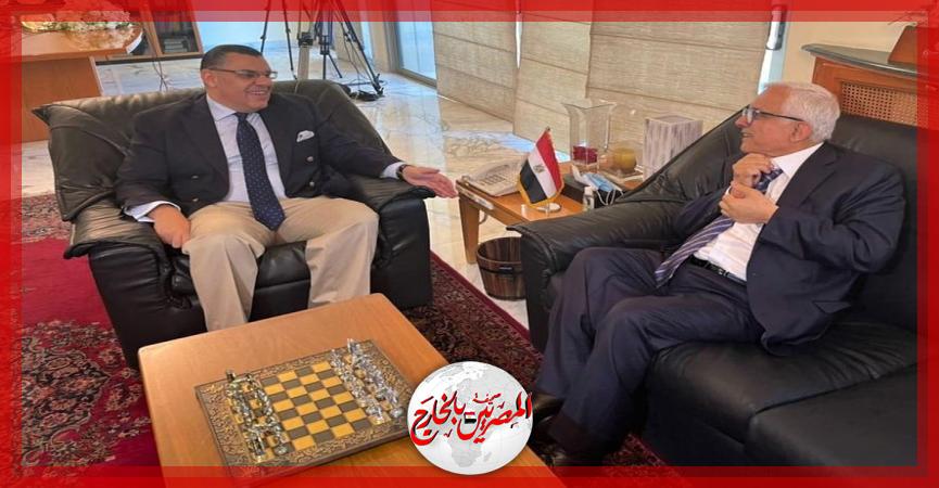 المصريين بالخارج