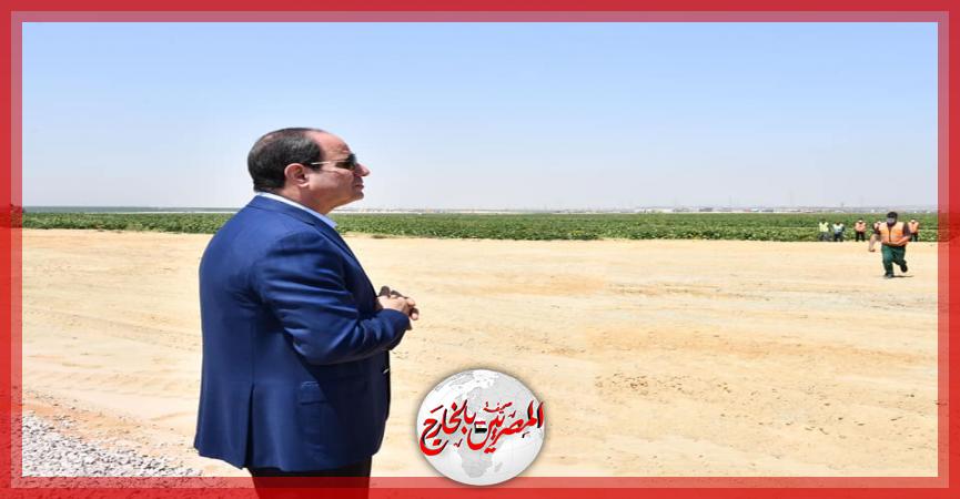 المصريين بالخارج