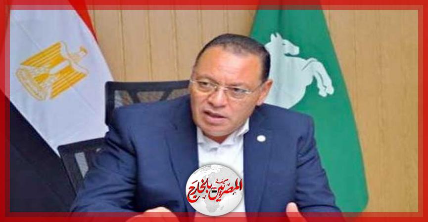 المصريين بالخارج