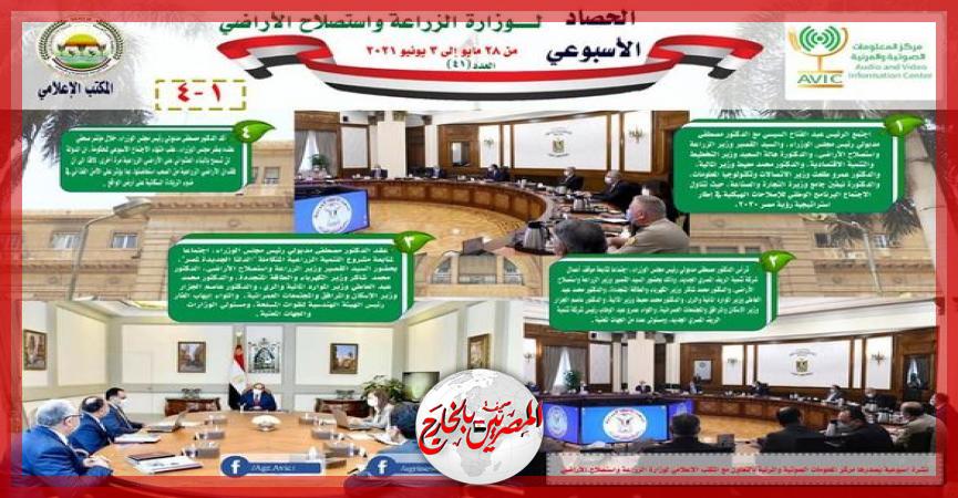 المصريين بالخارج