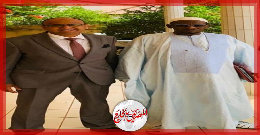 المصريين بالخارج