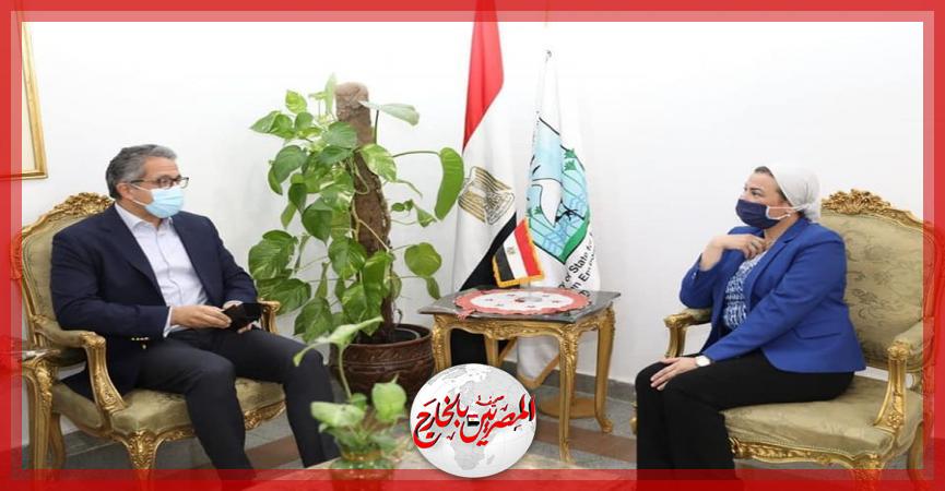 المصريين بالخارج