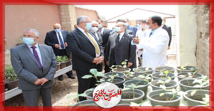 المصريين بالخارج