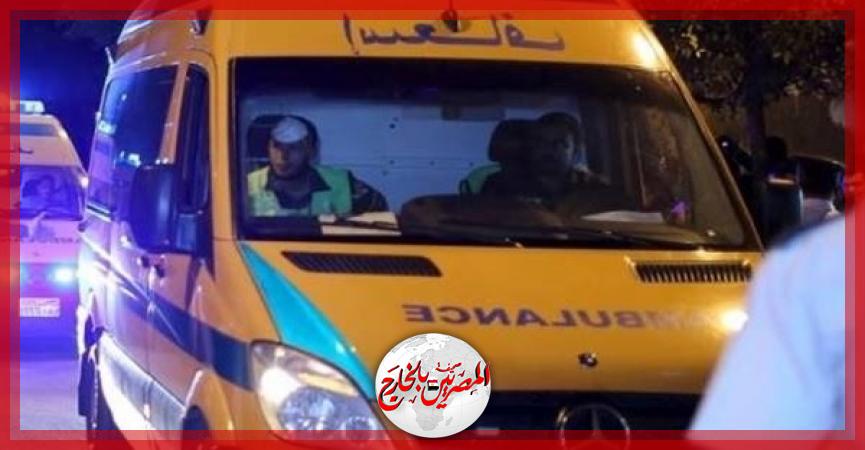 المصريين بالخارج