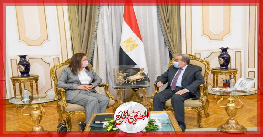 المصريين بالخارج