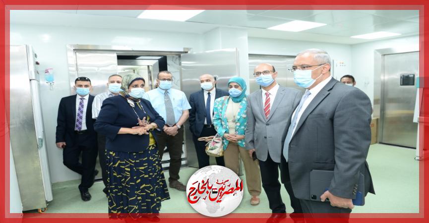 المصريين بالخارج