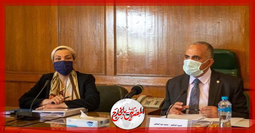 المصريين بالخارج