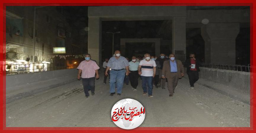 المصريين بالخارج