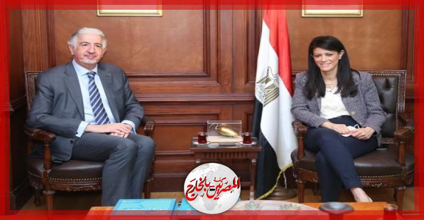 المصريين بالخارج