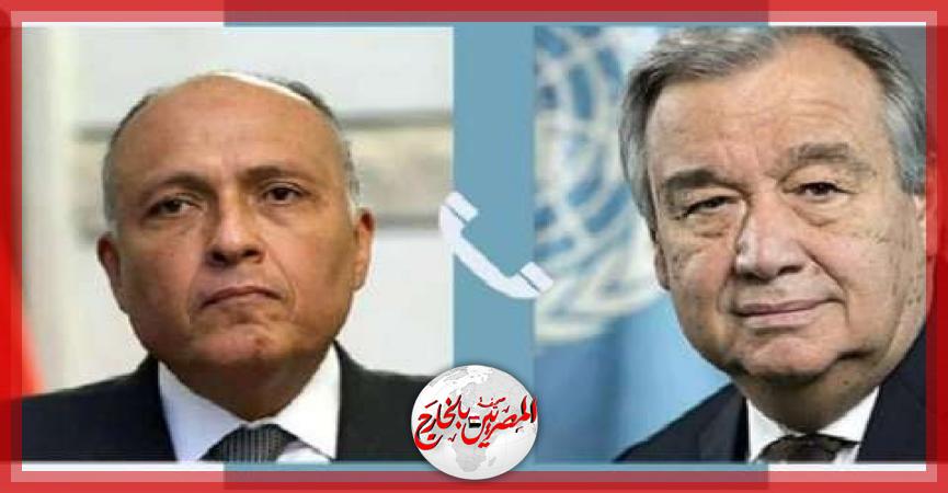 المصريين بالخارج