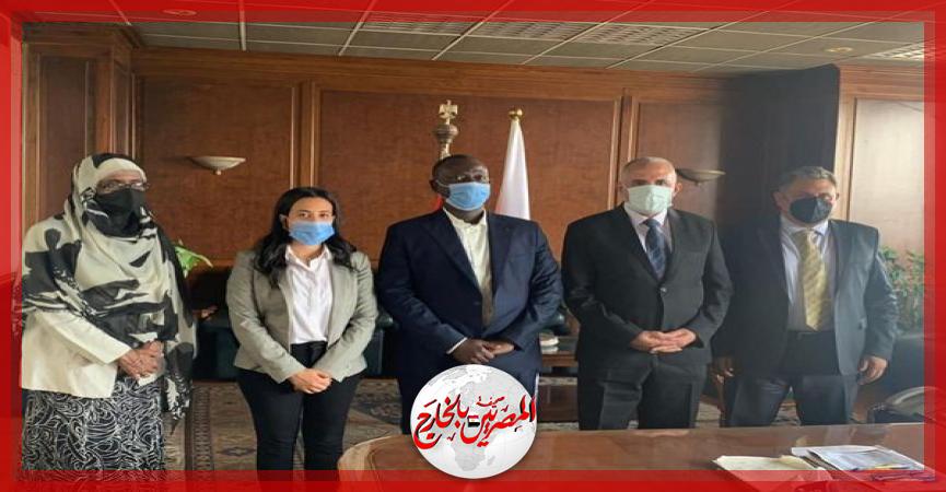 المصريين بالخارج