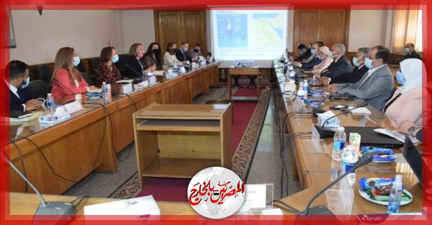 المصريين بالخارج