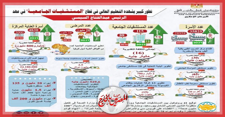 المصريين بالخارج