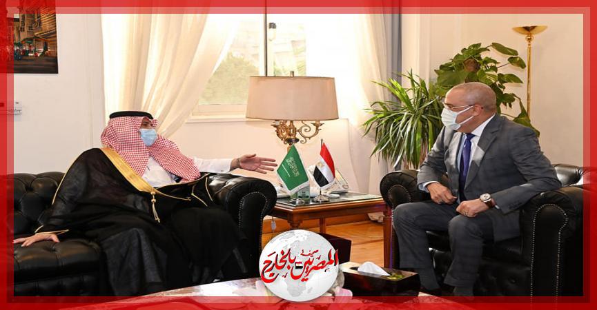 المصريين بالخارج