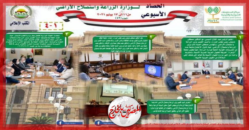 المصريين بالخارج