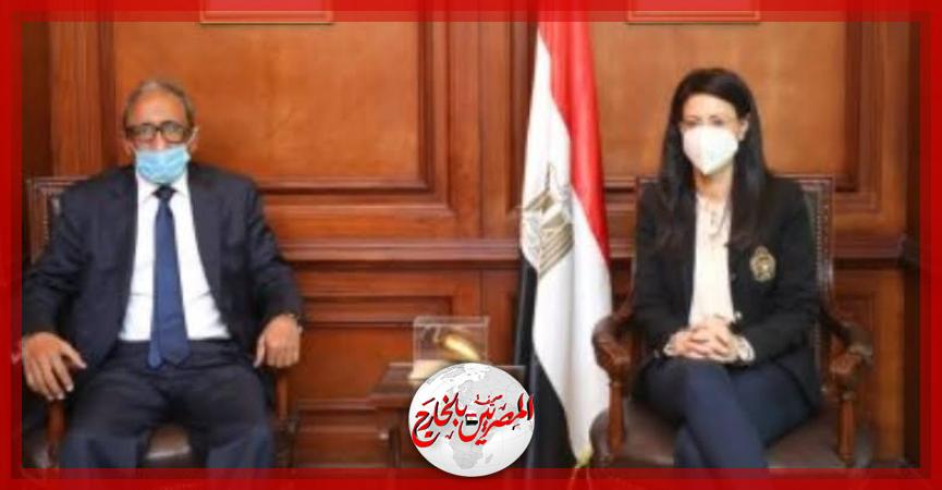 المصريين بالخارج