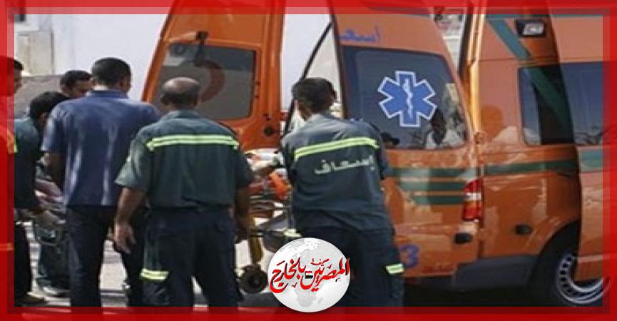 المصريين بالخارج