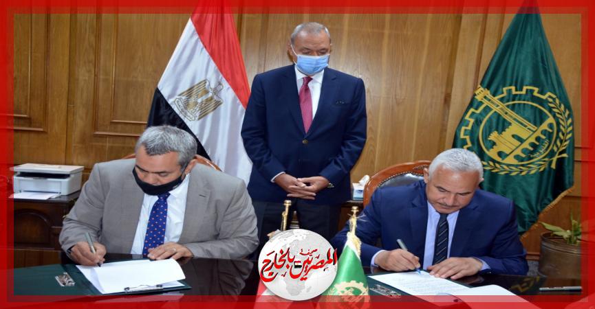 المصريين بالخارج