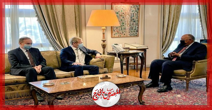 المصريين بالخارج