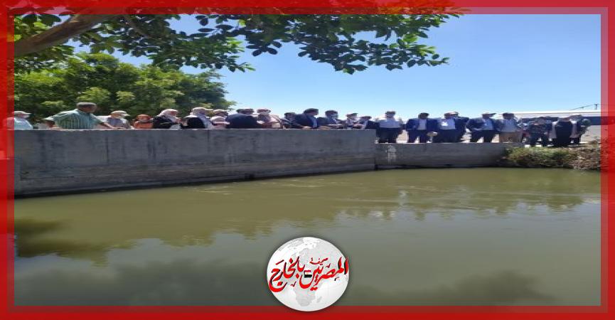 المصريين بالخارج