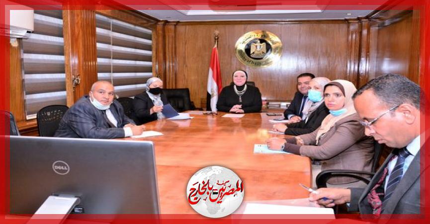 المصريين بالخارج