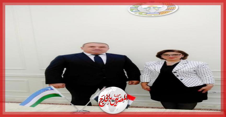 المصريين بالخارج