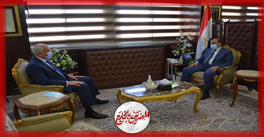 المصريين بالخارج