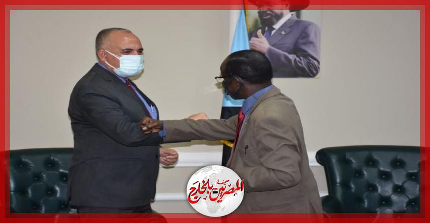 المصريين بالخارج