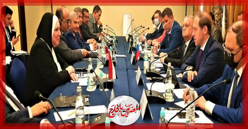 المصريين بالخارج