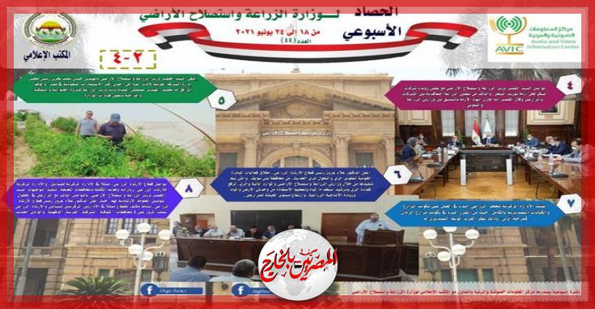 المصريين بالخارج