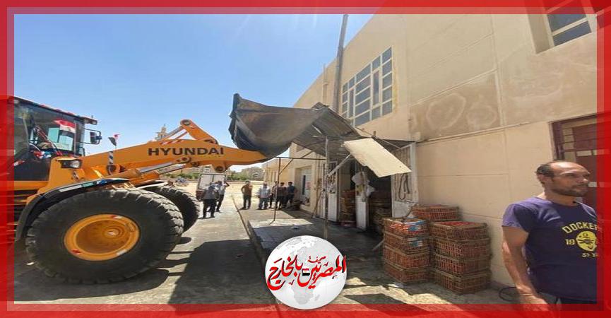 المصريين بالخارج