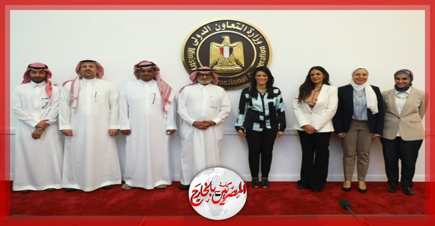 المصريين بالخارج