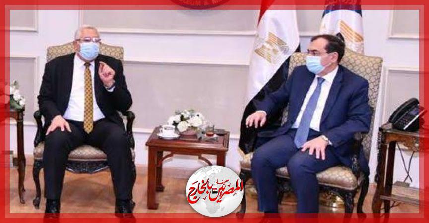 المصريين بالخارج