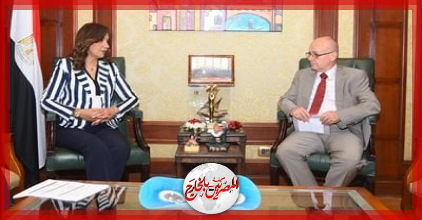 المصريين بالخارج