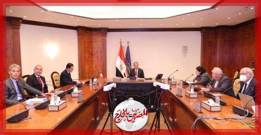 المصريين بالخارج