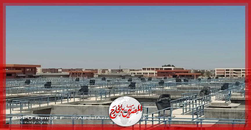 المصريين بالخارج