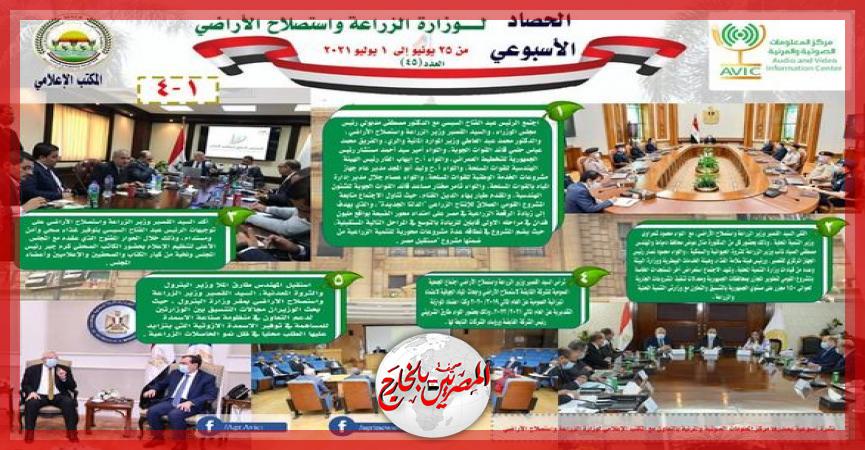 المصريين بالخارج