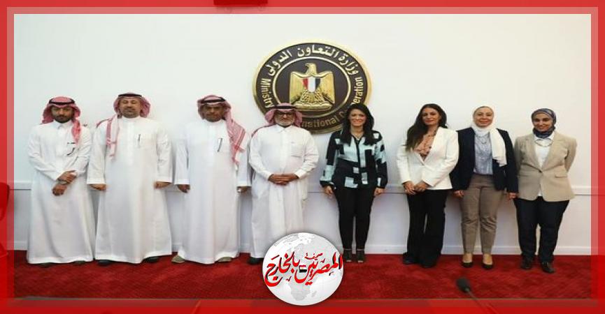 المصريين بالخارج