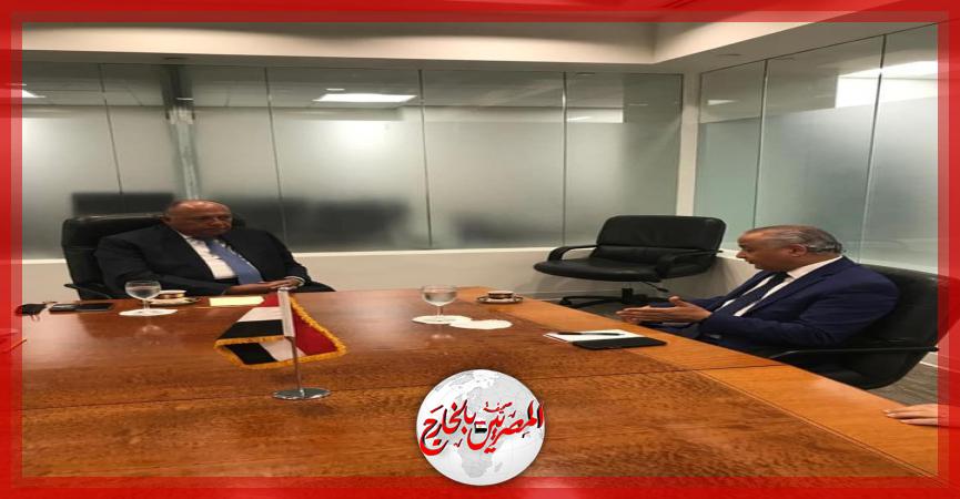 المصريين بالخارج