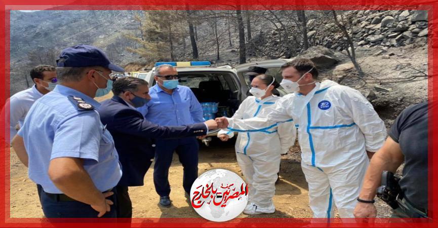 المصريين بالخارج