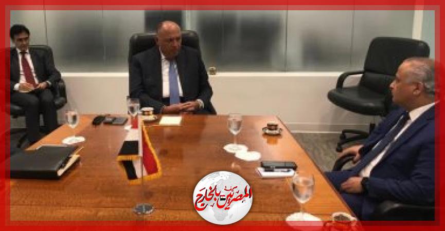 المصريين بالخارج