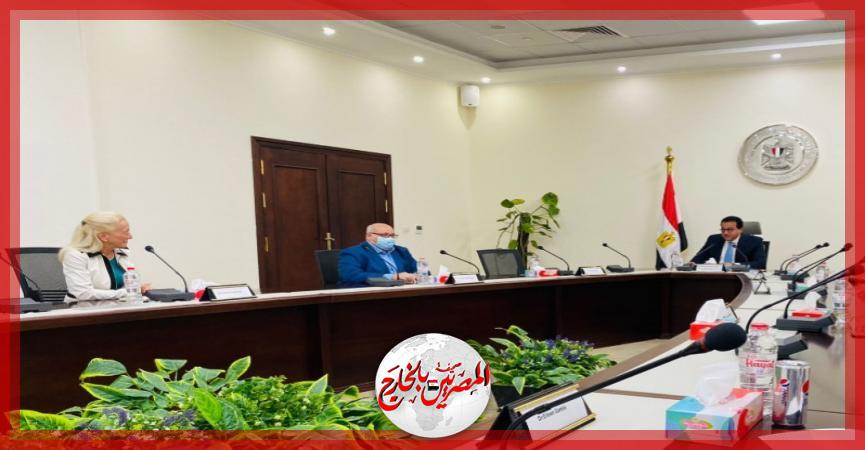 المصريين بالخارج