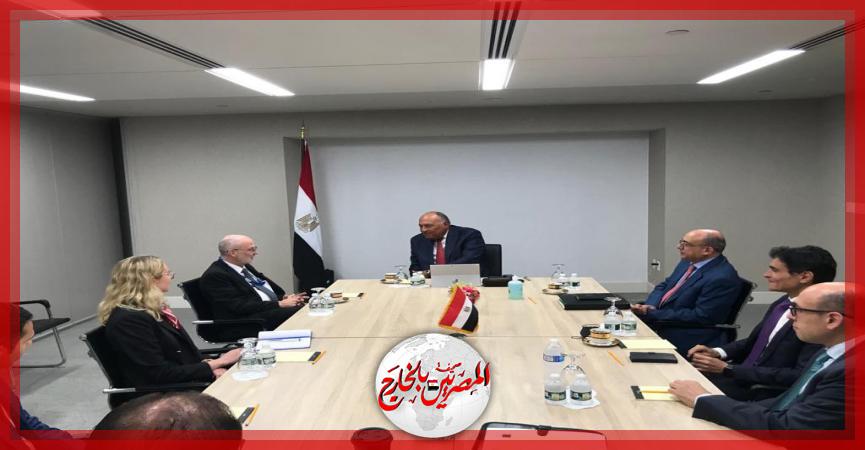 المصريين بالخارج