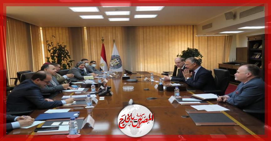 المصريين بالخارج