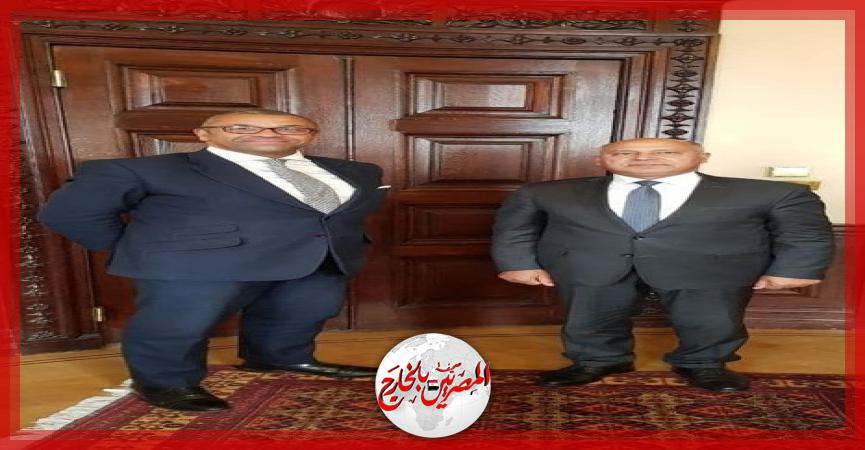 المصريين بالخارج