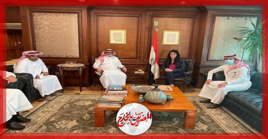 المصريين بالخارج